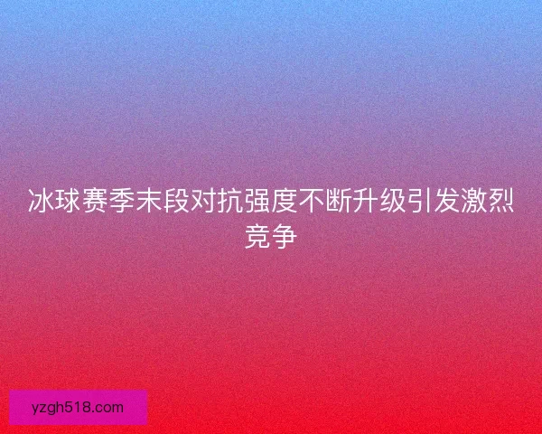 冰球赛季末段对抗强度不断升级引发激烈竞争